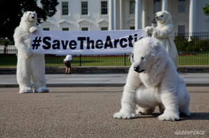 Polar Bears at the White House