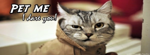 Bad mood grumpy funny cat facebook cover