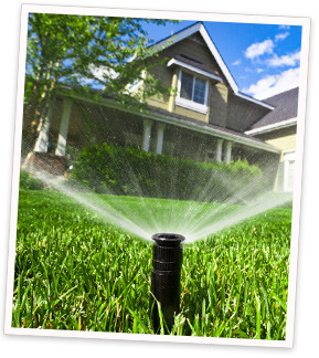 Get Free Quotes on a Sprinkler Installation