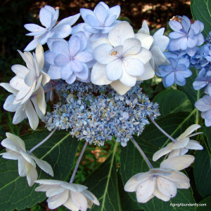 What Lies Beneath Quote