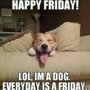 Happy #Friday!