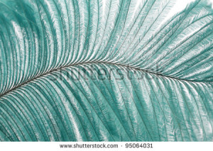 Green nature abstract Stock Photos, Illustrations, and Vector Art