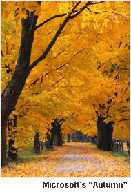 Grab Shots: Autumn and Annie