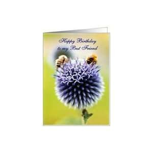 Quotes About Bees And Flowers http://www.popscreen.com/tagged/birthday ...