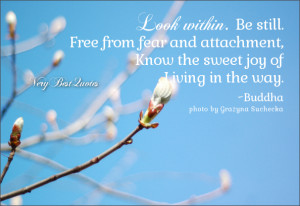 Buddha quotes, look within quotes, be still quotes, free from ...