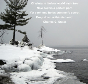 Winter scene with inspirational quote