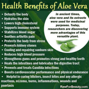 Amazing healing and medicinal benefits of Aloe Vera plant
