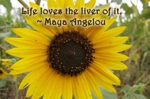 maya angelou, inspiratin, quotes, monday quotes, lynne st. james