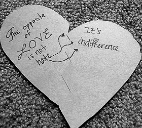 Hate Ignorant People Quotes Quotes about indifference