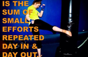 About Black Ice Martial Arts