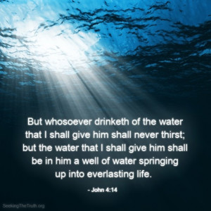 shall give him shall never thirst; but the water that I shall give ...