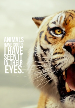 Richard Parker...I will believe this until my last breath, see you on ...