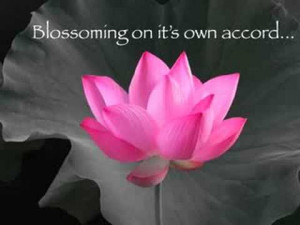 See also Gita Talk #8: Very Special Guest Graham Schweig and