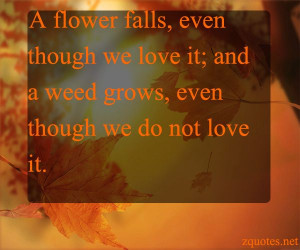 flower fall in love