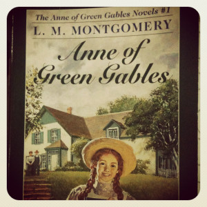this book has hit my list of favourite books anne the lead actor is an ...