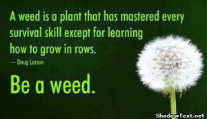 Be a Weed