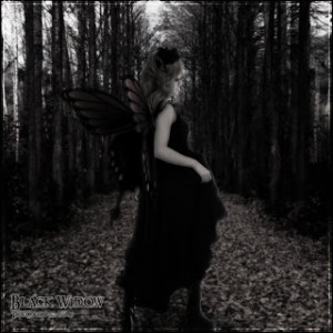 Posted by sufi at 10:31 PM