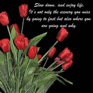 ... quotes, quotations, night time tulips, inspiration, quote, saying