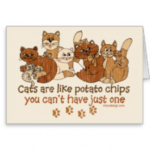 Cats are like potato chips greeting card