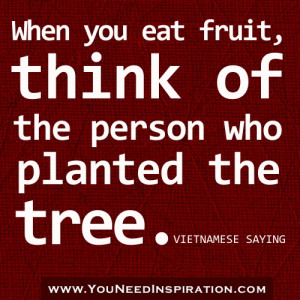 appreciation-gratitude-quotes-When-you-eat-fruit-think-of-the-person ...