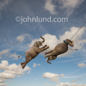 Two elephants perform a flying trapeze act high in the sky in a funny ...