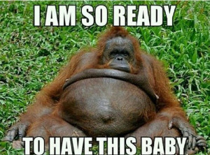 Third Trimester Memes