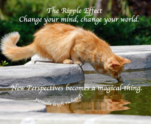 Cat Reflecting Water golden pamela quote 3