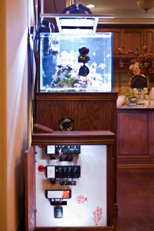 Thread: Soon to be Switching from MH to Ocean Revive Arctic S026 LEDs