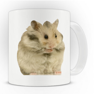 Hamster Quotes