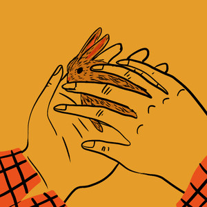 Overview Summary of the Novel