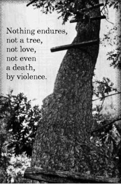 separate peace1 sports400 5 300x300 free books online broken leg bgr ...