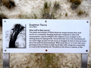 Cold Hearted Quotes And Sayings