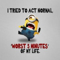 quotes 32 funny quotes to make a joyful day we