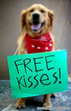 free kisses, funny dog photo
