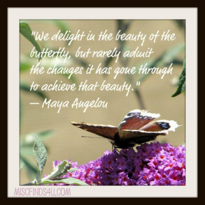 Today’s Quote: Maya Angelou Delight in the Beauty of the Butterfly