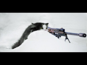 sniper_cat.jpg#cat%20sniper%201024x762