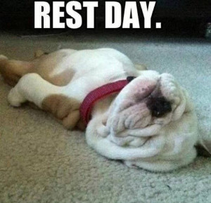 Rest day -- definitely me lately!
