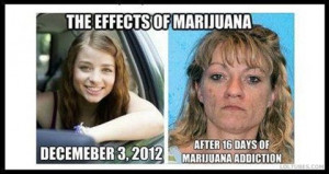 The-Effects-Of-Marijuana