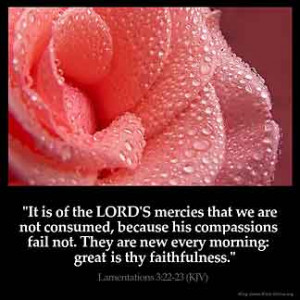 ... new every morning: great is thy faithfulness. – Lamentations 3:22