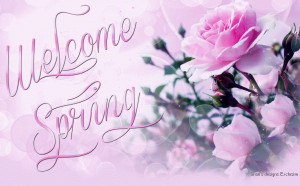 Welcome spring.....