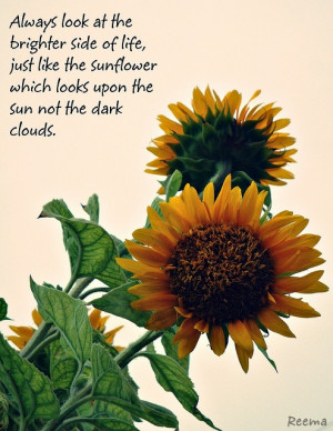 sunflower snaps and wrote something I believe in. So that is a quote ...