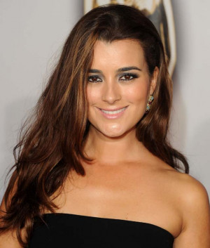 Cote de Pablo, Petition, Mark Harmon, NCIS, CBS, Leaving, Contract ...