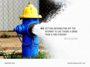 Mitchell Kapor's quote about getting information off the Internet