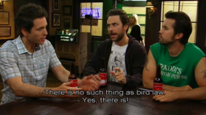 charlie kelly quotes bird law