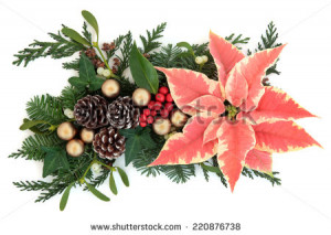 Christmas mistletoe Stock Photos, Illustrations, and Vector Art