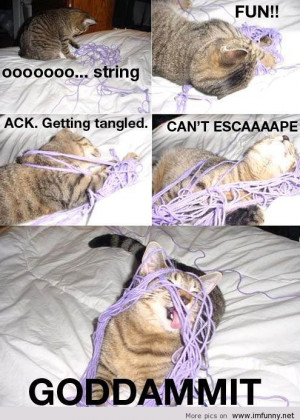 ... string / Funny Pictures, Funny Quotes – Photos, Quotes, Images, Pics