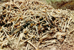 Remains of Armenians found in a mass grave