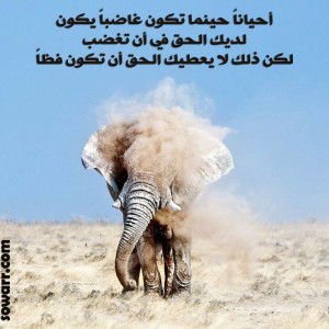 Arabic quotes about being angry