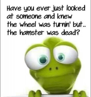 Already have an account? Log in now