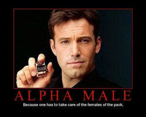 The Definition of an Alpha Male